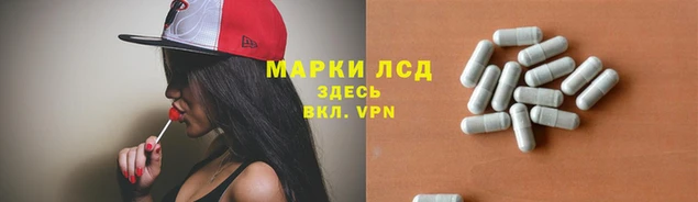 винт Алзамай