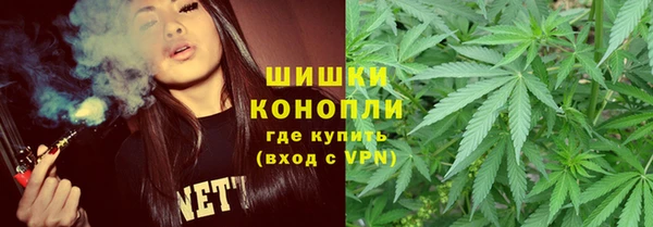винт Алзамай
