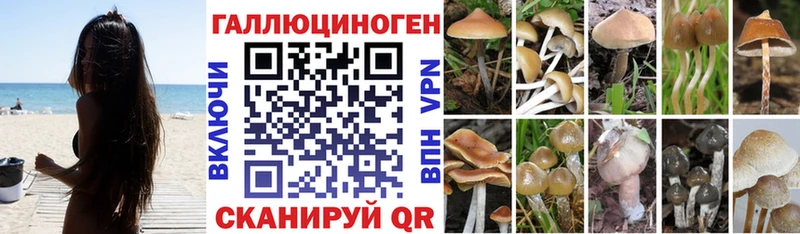 Галлюциногенные грибы GOLDEN TEACHER  ссылка на мегу как зайти  Новошахтинск 